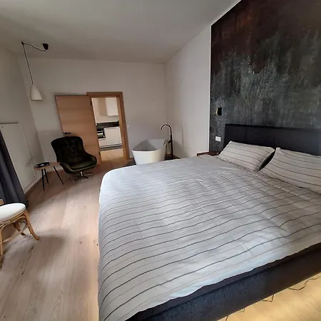 Lägenhet Stadtmauerloft Gmünd